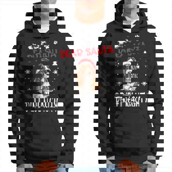 Cute Basset Hound Dog Christmas Dear Santa Define Naughty Hoodie - Thegiftio