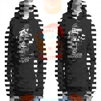 Beary Grizzmas Grizzly Bear Christmas Cool Rizz Santa Hoodie | Mazezy