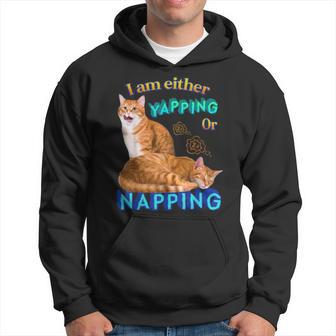 Ich Kläffe Oder Mache Ein Nap Cat Meme Kapuzenpullover - Geschenkecke