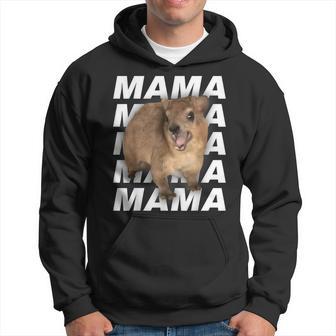 Klippschliefer Hyrax Kapuzenpullover - Geschenkecke