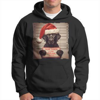 Labrador Retriever Dog Christmas Kapuzenpullover - Geschenkecke