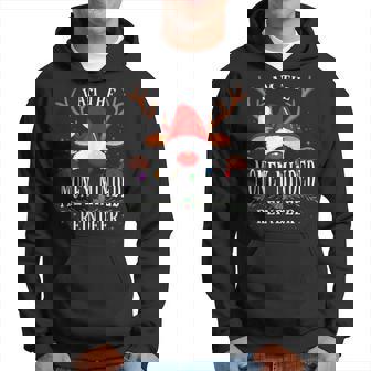 I Am The Money Minded Reindeer Christmas Family Hoodie - Thegiftio