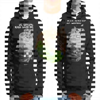 Rage Is Consuming Me Meme Cat Meme Oddly Specific Memes Joke Hoodie - Monsterry