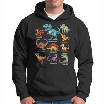 Types Of Dinosaurs Graphics Dino Identification Hoodie - Thegiftio UK