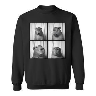 Capybara Capy Photobooth Picture Quirky Odd Animal Sweatshirt - Thegiftio UK