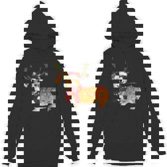 Santa Corgi Reindeer Light Christmas Unisex Hoodie - Monsterry