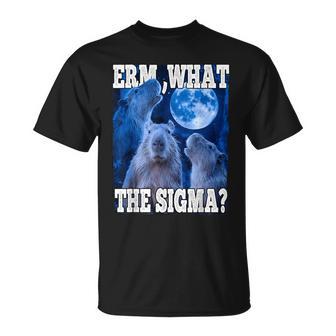 Erm What The Sigma Capybara Meme T-Shirt - Thegiftio UK