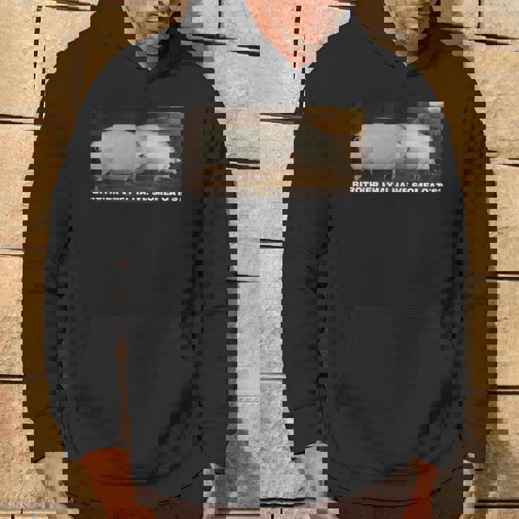 Brother May I Have Some Oats Hoodie Lifestyle
