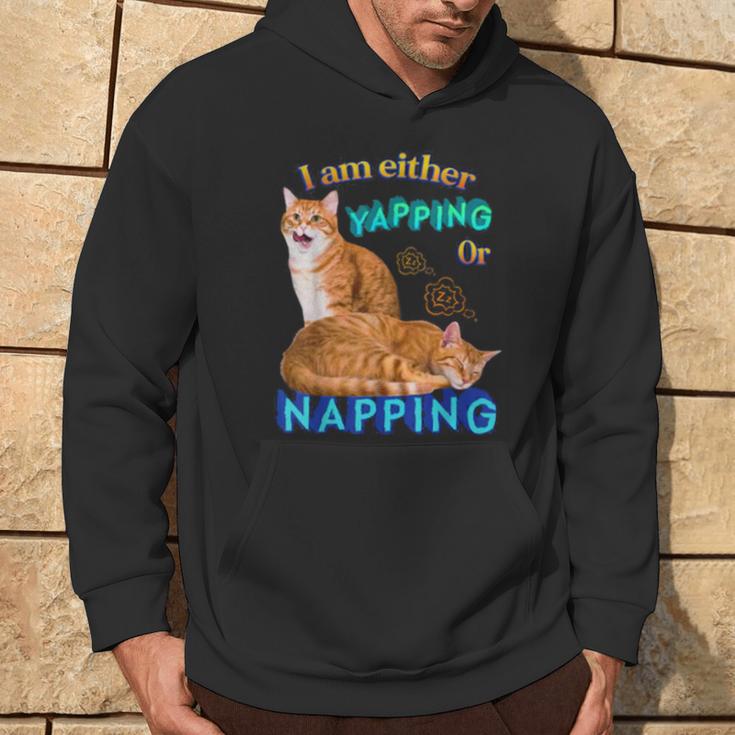 Ich Kläffe Oder Mache Ein Nap Cat Meme Kapuzenpullover Lebensstil