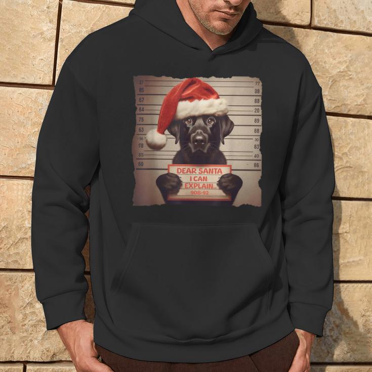 Labrador Retriever Dog Christmas Kapuzenpullover Lebensstil