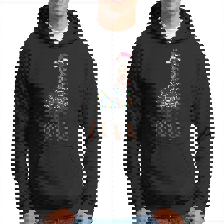 Doberman Santa Christmas Lights Dog Hoodie