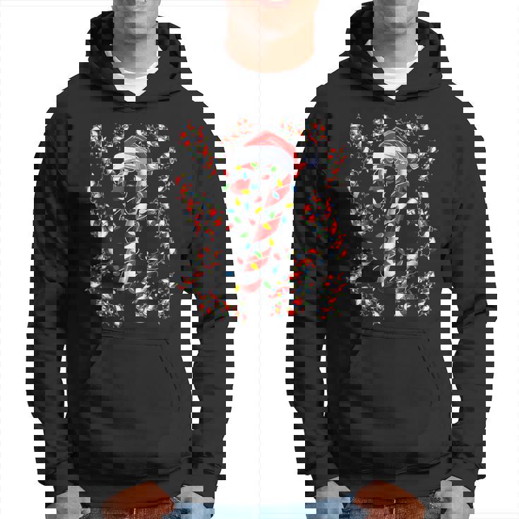 Red And White Candy Cane Santa Christmas Xmas Lights Hoodie