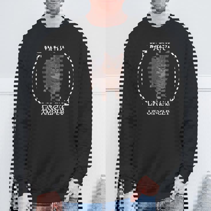 I Wake Up I Engage In Tomfoolery Meme Memes Cat Meme Sweatshirt Gifts for Old Men