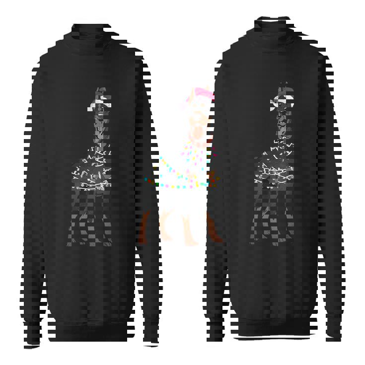 Doberman Santa Christmas Lights Dog Sweatshirt