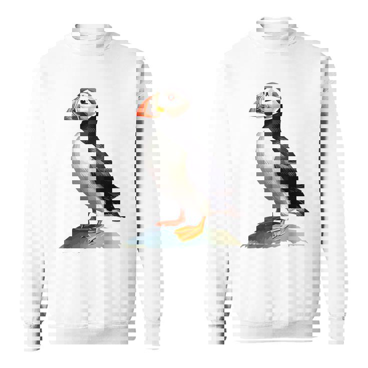 Macareux Animaux Nature Zoo Dessin Oeuvre D'art Portrait Macareux Sweater e