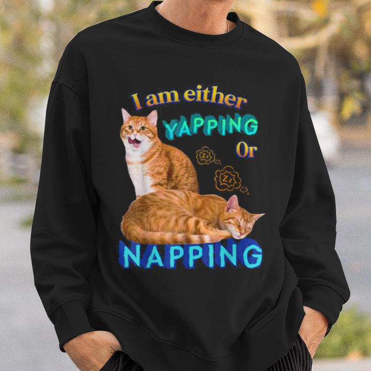 Ich Kläffe Oder Mache Ein Nap Cat Meme Sweatshirt Geschenke für Ihn