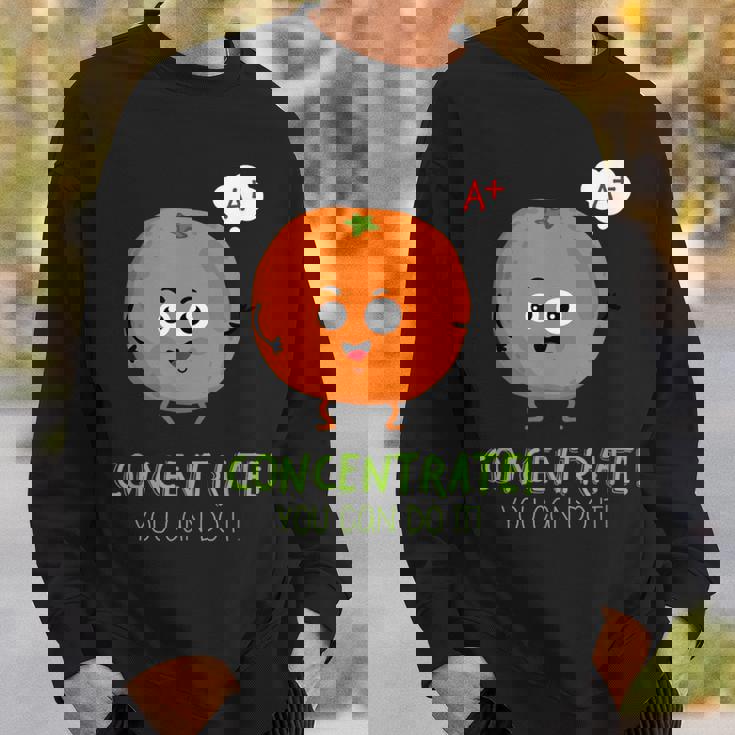 Orange Concentrate Fruit And Vegetables Sweatshirt Gifts for Him