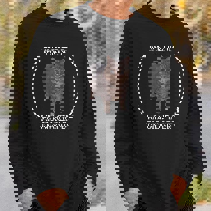 I Wake Up I Engage In Tomfoolery Meme Memes Cat Meme Sweatshirt Gifts for Him