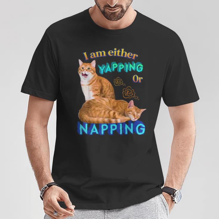 Ich Kläffe Oder Mache Ein Nap Cat Meme T-Shirt Lustige Geschenke