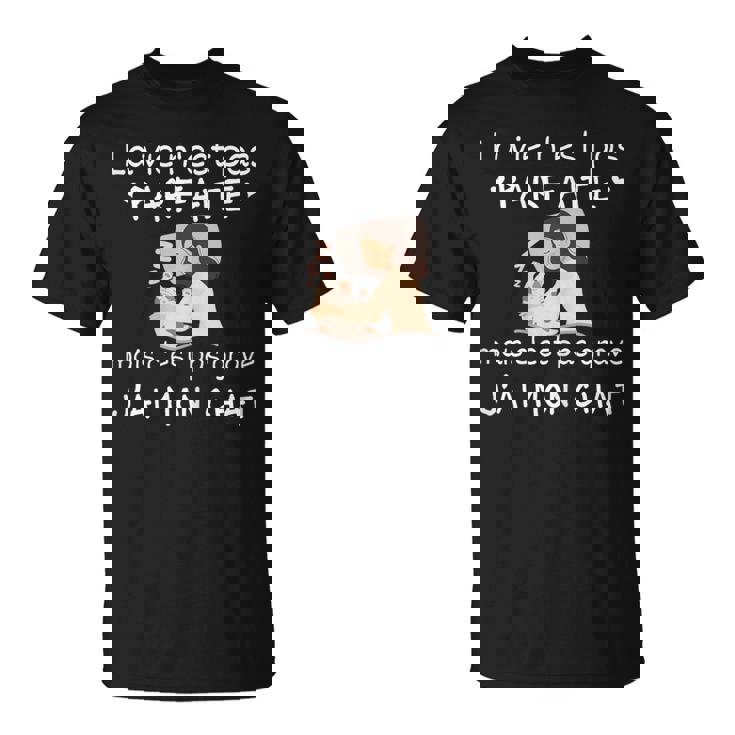 Laie N'est Pas Parfaite Cadeau Chat Humour T-Shirt