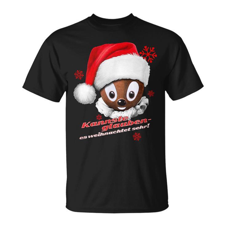 Pittiplatsch Kannste Glauben Es Weihnachtet Sehr T-Shirt