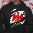 Drapeau Nice Niçois Blason Déchiré À Effet 3D France Sweat à capuche Cadeaux drôles