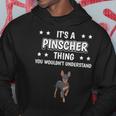 Ist So Ein Pinscher Ding Lustiger Spruch Pinscher Kapuzenpullover Lustige Geschenke