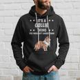 Ist So Ein Collie Ding Lustiger Spruch Collies Kapuzenpullover Geschenke für Ihn