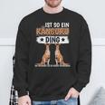 Kängurus Sachen Ist So Ein Känguru Ding Känguru Sweatshirt Geschenke für alte Männer