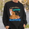 Ich Kläffe Oder Mache Ein Nap Cat Meme Sweatshirt Geschenke für Ihn