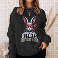 Kleines Häschen Lustiges Hobby Motiv Sweatshirt Geschenke für Sie