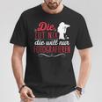 Die Tut Nix Will Nur Photographier T-Shirt Lustige Geschenke